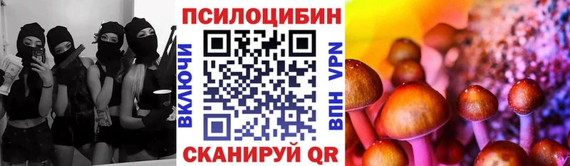 Купить закладки  Усть-Катав  Псилоцибиновые грибы GOLDEN TEACHER 